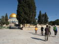 エルサレム　神殿の丘
