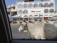 インドの車窓