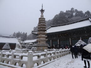 平昌観光　月精寺