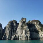 海金剛
