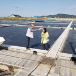 霊光の塩田