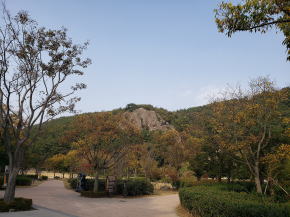 墓地の隣は公園が整備