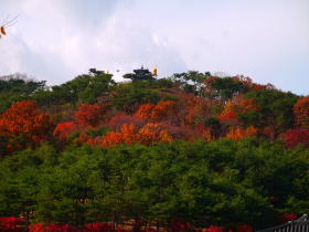 水原行宮より紅葉