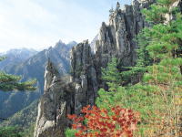 おすすめ韓国　雪岳山と束草・ヤンヤン