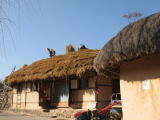 河回村の藁葺き屋根の家