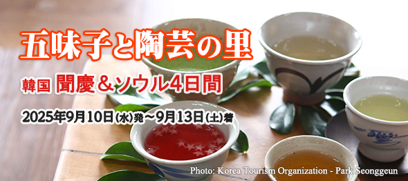韓国こだわりツアー五味子と陶芸の里・聞慶