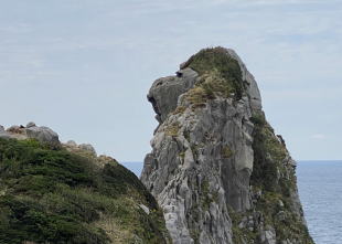 猿岩