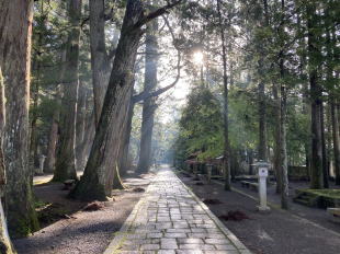 奥の院一の橋参道