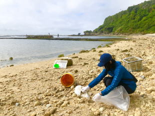 沖縄ビーチの海洋ゴミ拾い