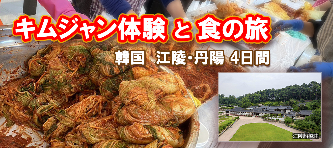 韓国キムジャン食の旅2026