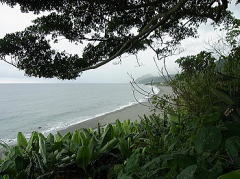 台湾　思い出の海