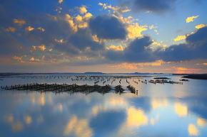 澎湖　菜園漁業エリア