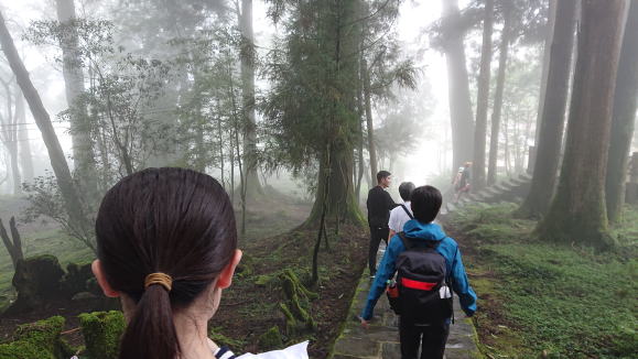 阿里山遊歩道