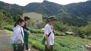 高山茶農園