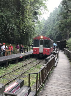 阿里山　神木駅