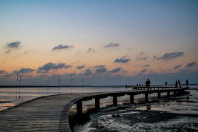 高美湿地桟橋